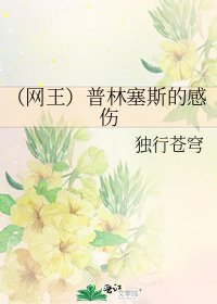 (网王)普林塞斯的说伤