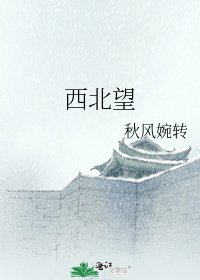 西北望