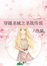穿越圣域之圣战传说