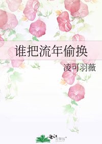 誰把流年偷換