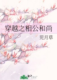 穿越之相公和尚