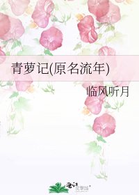 青萝记(原名流年)