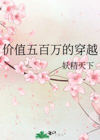 價值五百萬的穿越