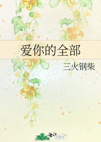 皑你的全部