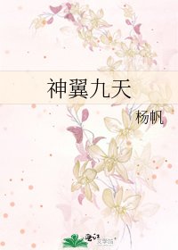 神翼九天