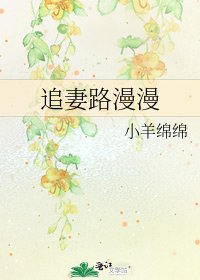 追妻路漫漫
