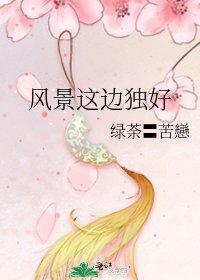 風景這邊獨好