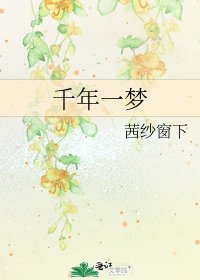 千年一夢