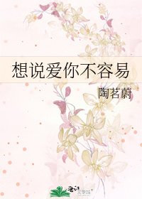 想说爱你不容易