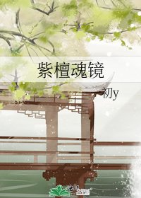 紫檀魂镜