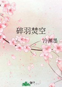碎羽焚空