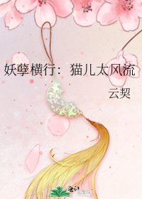 妖孽横行:猫儿太风流