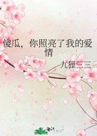 傻瓜,你照亮了我的爱情
