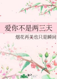 爱你不是两三天