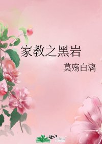 家教之黑巖