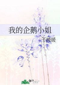 我的企鵝小姐