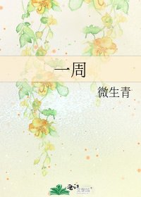 一周