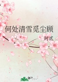 何處清雪覓塵顧