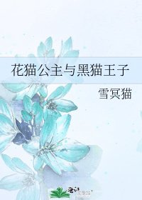 花貓公主與黑貓王子