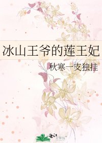 冰山王爷的莲王妃