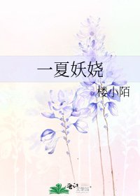 一夏妖娆