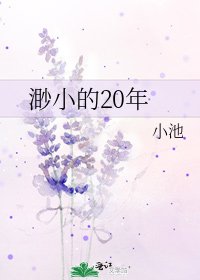 渺小的20年