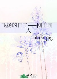 飞扬的日子——网王同人