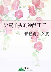 野蠻丫頭的冷酷王子
