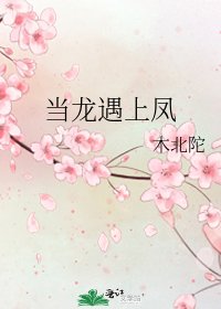 当龙遇上凤