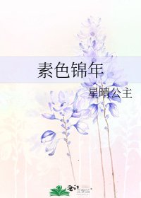 素色錦年