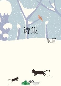 诗集