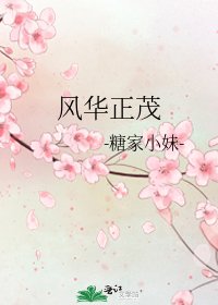 风华正茂