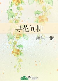 寻花问柳