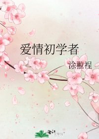 爱情初学者