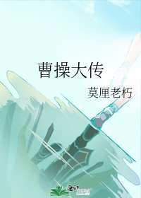 曹操大传