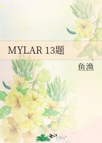 MYLAR 13题