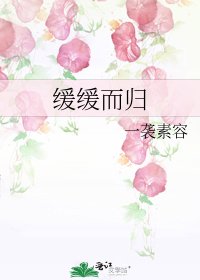 緩緩而歸