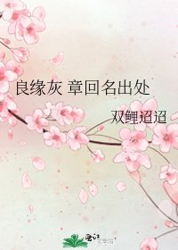 良缘灰 章回名出处