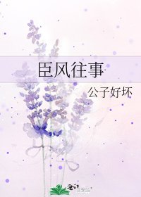 臣風往事