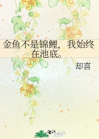金魚不是錦鯉,我始終在池底。
