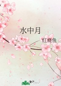 水中月