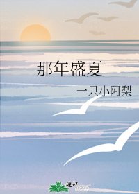 那年盛夏
