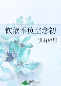 钦歆不负空念初