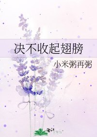 决不收起翅膀