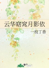 云华窈窕月影依