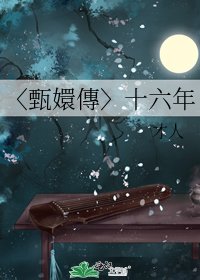 〈甄嬛傳〉十六年