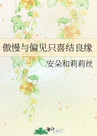 傲慢与偏见只喜结良缘