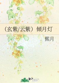 (玄紫/云紫)倾月灯