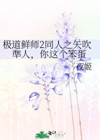 极道鲜师2同人之矢吹準人,你这个笨蛋