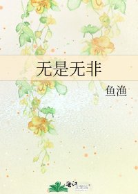 无是无非